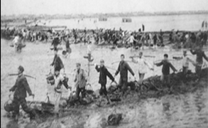 1483523621190897YEaB.png 未標(biāo)題-16.png